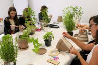 Résultat final d’un mini jardin réalisé en entreprise lors de l’atelier MadCityZen. | © MadCityZen